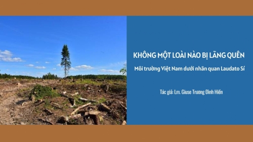 Môi trường Việt Nam dưới nhãn quan Laudato Sí: Không một loài thụ tạo nào bị lãng quên