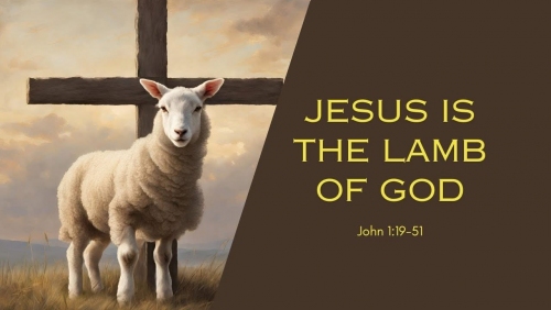 Suy niệm Chúa Nhật 2 Thường niên năm 2026: Hãy “nghe” và “thấy” để trở thành ngôn sứ