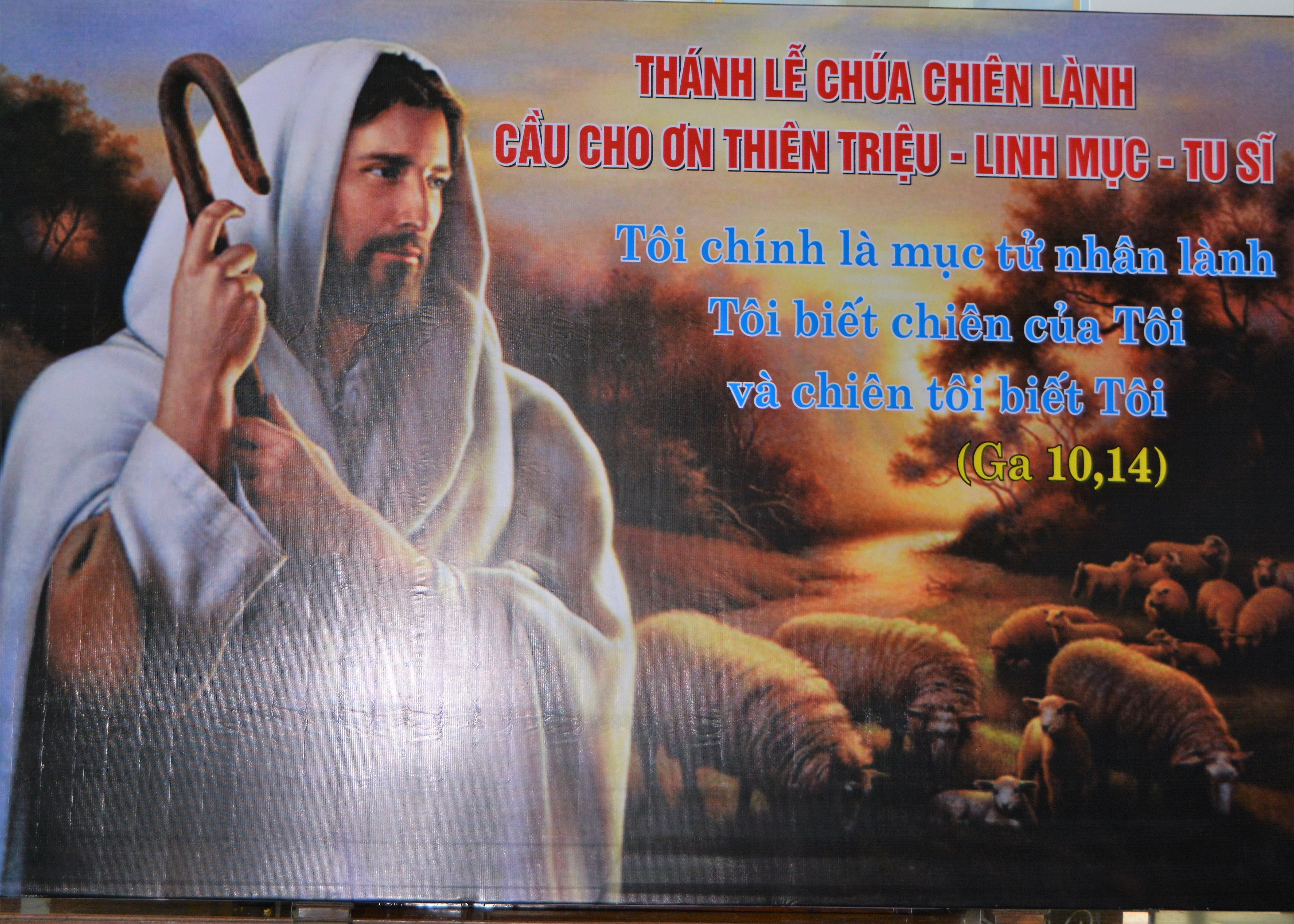 Giáo xứ Tuy hòa cầu nguyện cho ơn thiên triệu
