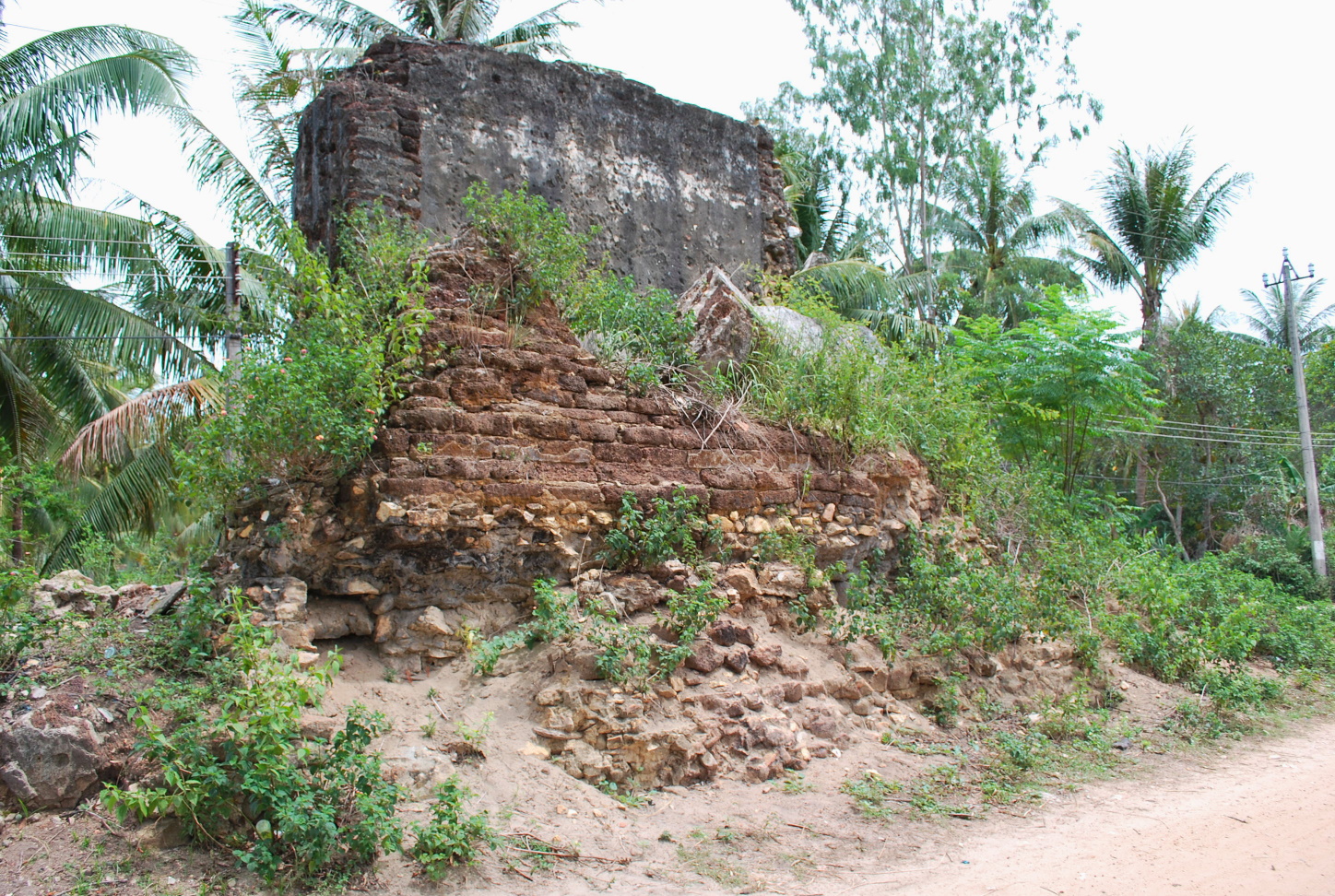 DSC 0989