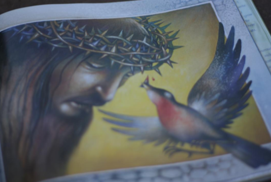 Screen Shot 2025 04 18 at 12 13 39 PM